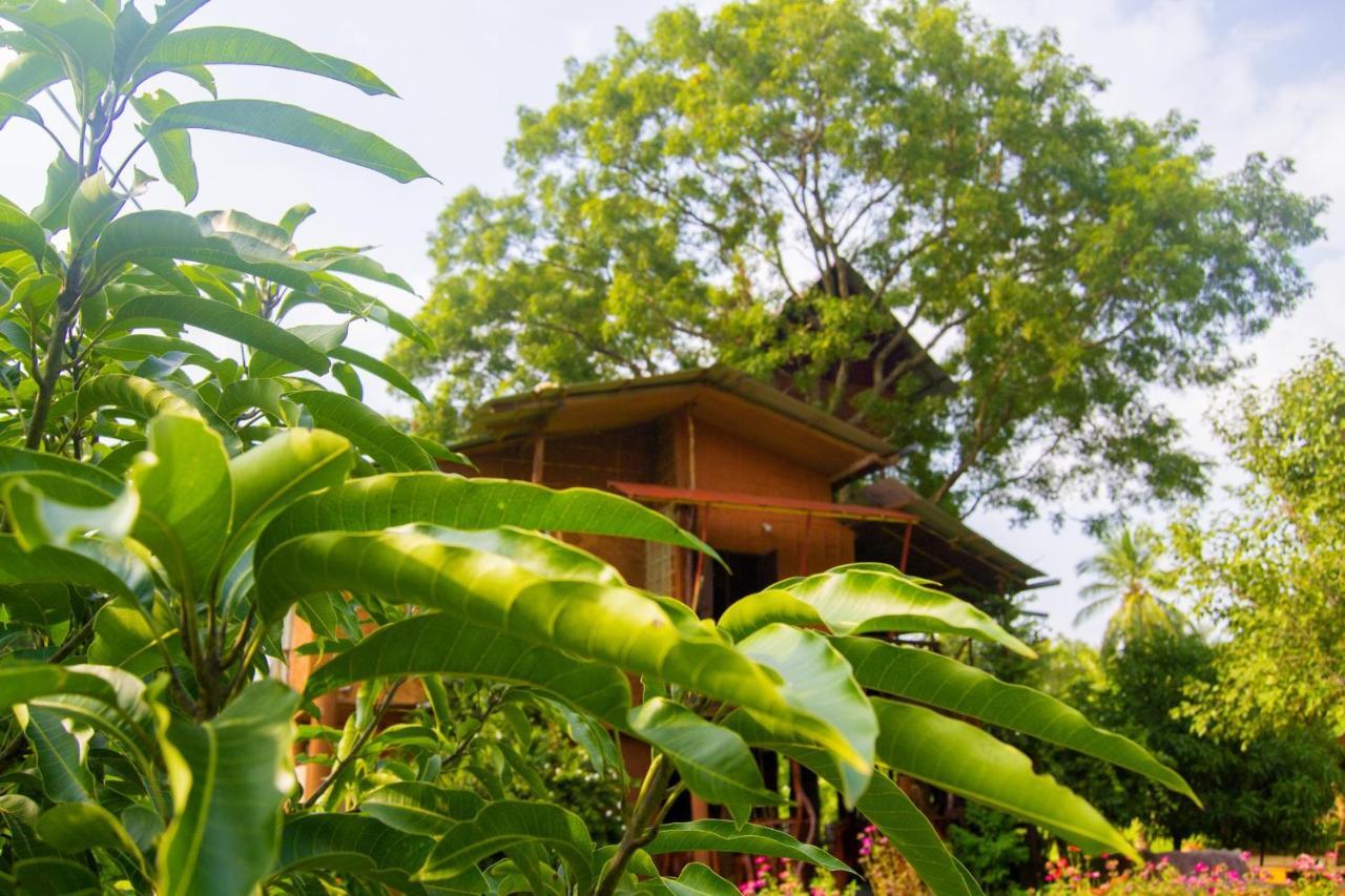 Anushka Nera Nature House Sigiriya Bilik gambar