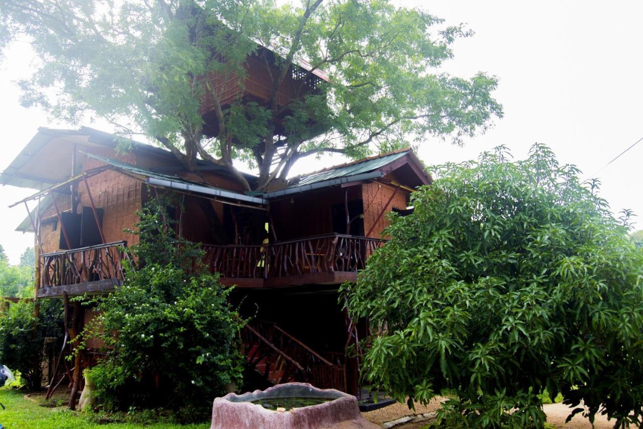 Anushka Nera Nature House Sigiriya Bilik gambar